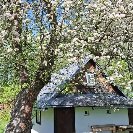 Zenovna Na Krasne - Cely Areal 2 Az Pro 13 Osob Krasna (Moravia-Silesia)